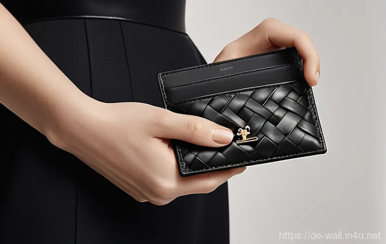 보테가 베네타의 카드홀더와 미니 지갑 비교 - **Prompt:** A close-up shot of a person's hands gently holding a classic black Bottega Veneta Intrec...